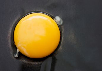 Kuning Telur Dapat Rusak Pembuluh Darah