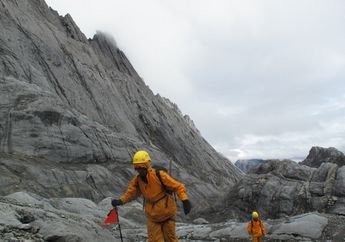 Gunung Termahal Dunia di Carstensz Pyramid, Papua