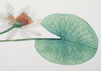 Daun nan Agung