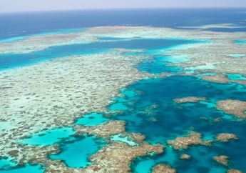The Great Barrier Reef Mulai Rusak
