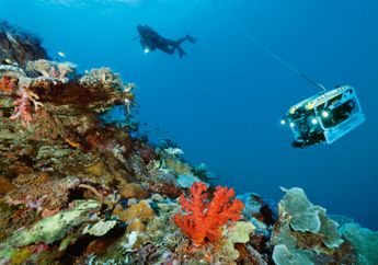 Raja Ampat