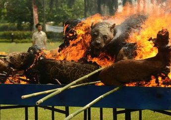 Ratusan Spesimen Satwa Liar Langka Dimusnahkan