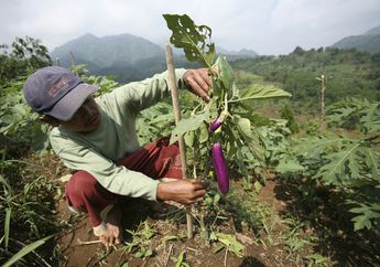 Strategi untuk Mengurangi Dampak Ekstrem Perubahan Iklim