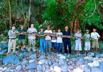 Istimewanya Indonesia di Dunia Reptil