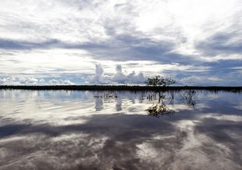 Tata Kelola Gambut di Papua Demi Keberlangsungan Hidup Warga