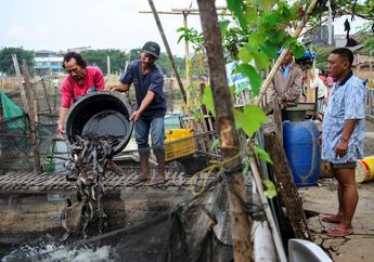 Kampung Lele, dari Banjir Jadi Berkah