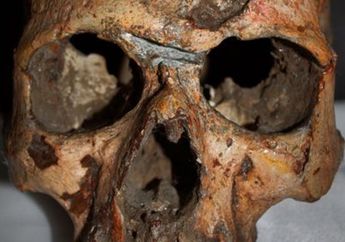 Peradaban Indus Berdampingan dengan Kekejian