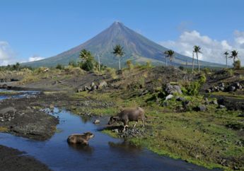 Mayon, Si Gunung Kerucut Sempurna