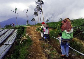 Pergulatan dalam Kearifan Kampung Sarongge