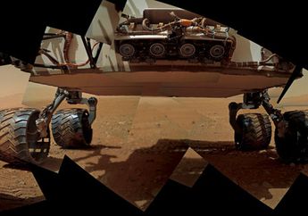 Curiosity