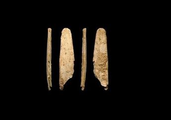 Tas Hermes Dibuat dengan Alat Mirip Perkakas Neanderthal