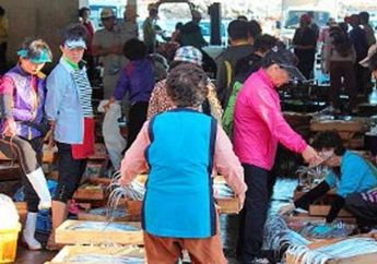 Menelusuri Kegigihan Perempuan Jeju