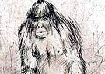 Apakah Misteri Yeti Berhasil Terungkap?