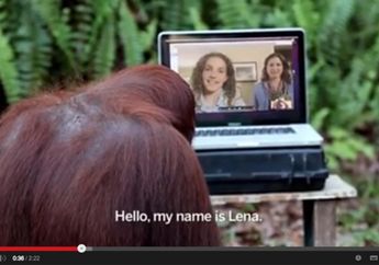 Orangutan Berbagi Kisah dengan Gadis Tunarungu