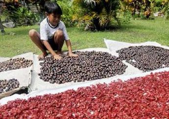 Banda Tak Hanya Pala