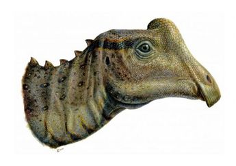 Remaja SMA Temukan Bayi Dinosaurus Mirip Bebek