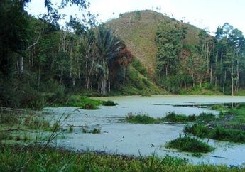 Hutan Gunung Kahaya, Keindahan yang Sudah Memudar