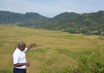 Mengagumi Persawahan "Laba-Laba" dari Puncak Weol
