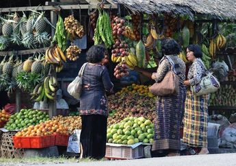 Memulung Durian Runtuh Sibolangit