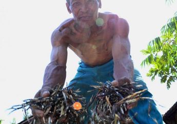 Kacang Hijau Cocok Diberikan Sebagai Pendamping ASI