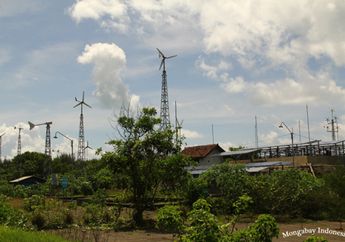 Kisah Sukses Desa Wisata Berbasis Energi Terbarukan di Pesisir Yogyakarta