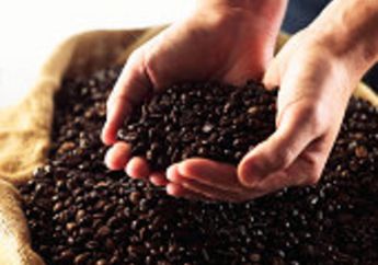 Hati-hati Terhadap Pemalsuan Kopi