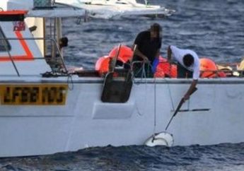 Hiu Mulai Ditembaki di Australia Barat