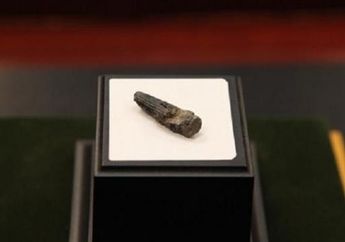 Pertama Kali, Fosil Dinosaurus Ditemukan di Malaysia