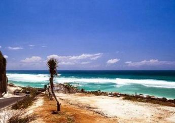 Angka Kunjungan Wisatawan Tiongkok Puncaki Data Pariwisata Indonesia
