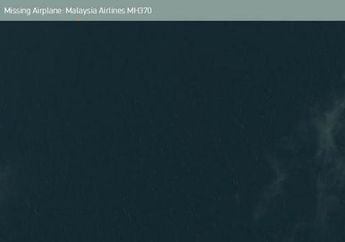 Ingin Bantu Pecahkan Misteri Pesawat Malaysia Airlines? Cermati Citra Ini