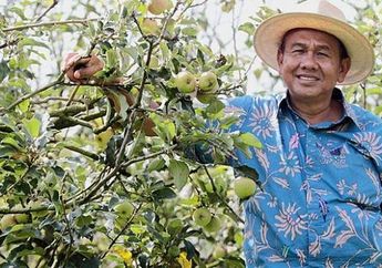 Edy Antoro, Berhasil Garap Kebun Apel dari Lahan Tandus