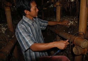 Pertautan Ekonomi dengan Lingkungan