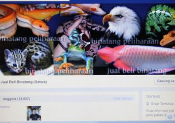 Perdagangan Satwa Dunia Maya Masih Marak