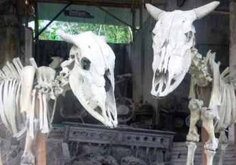 Pelajar Tak Jadikan Museum di Yogya Sebagai Tujuan Wisata