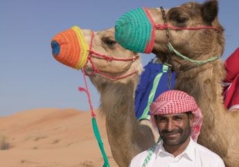 Virus MERS Diduga Berasal dari Unta