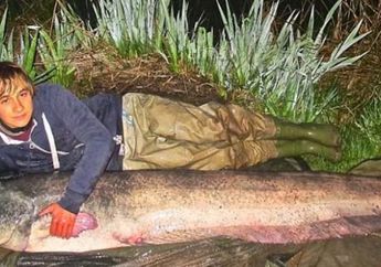 Remaja Ini Berhasil Tangkap Ikan Lele Raksasa