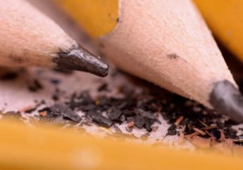 Dulu Pensil Dibuat untuk Menandai Domba