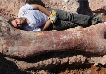 Dinosaurus Terbesar Seantero Jagat Ditemukan di Argentina