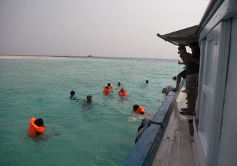 Berenang dan Menanam Terumbu di Paniis