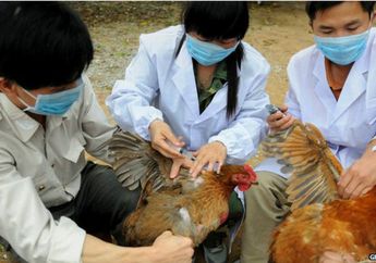 Peneliti Petakan Daerah Rawan Flu Burung di Asia
