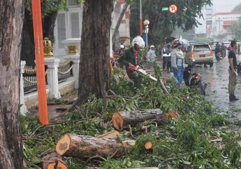 Ada Sanksi Tegas Bagi Penebang Pohon di Kota Surabaya