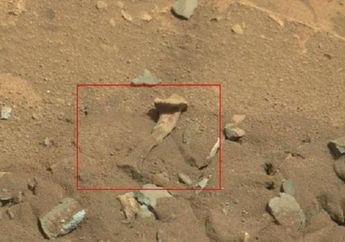 Obyek Serupa Tulang Manusia di Mars