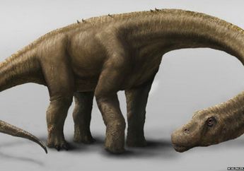 Fosil Dinosaurus Terbesar Telah Ditemukan