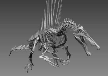 Spinosaurus, Dinosaurus yang Menghabiskan Hidupnya di Air
