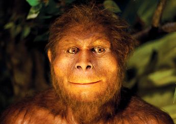 Senyum Homo Erectus