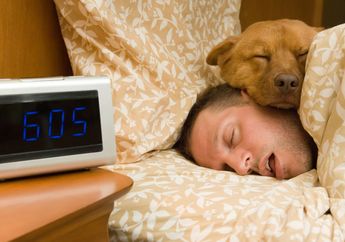Cari Tahu Waktu Tidur Optimal