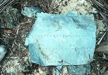 Misteri Lenyapnya Amelia Earhart Terjawab?
