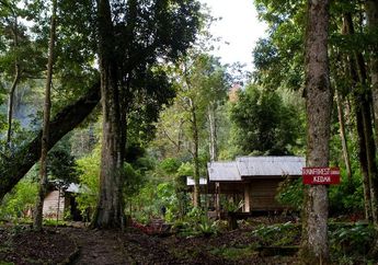 Berekowisata di Kaki Gunung Leuser