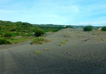 Tambak di Pantai Selatan Yogyakarta Ancam Ekologi