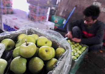 Pemerintah Pastikan Tidak Ada Apel Berbakteri